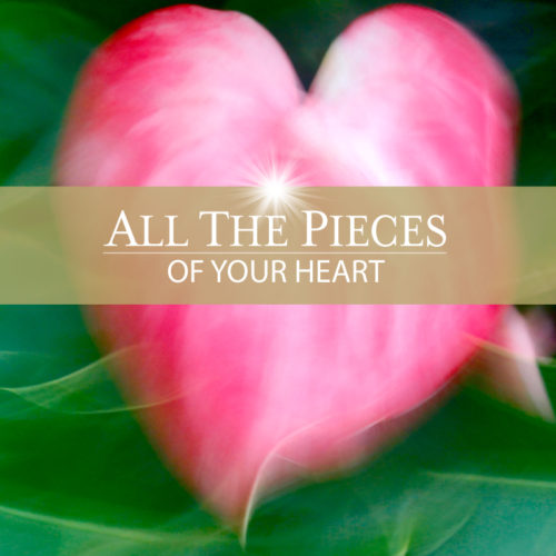All the Pieces of your Heart