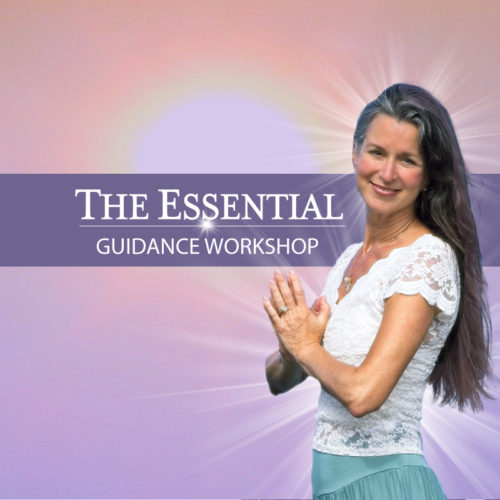 The Essential Guidance Workshop