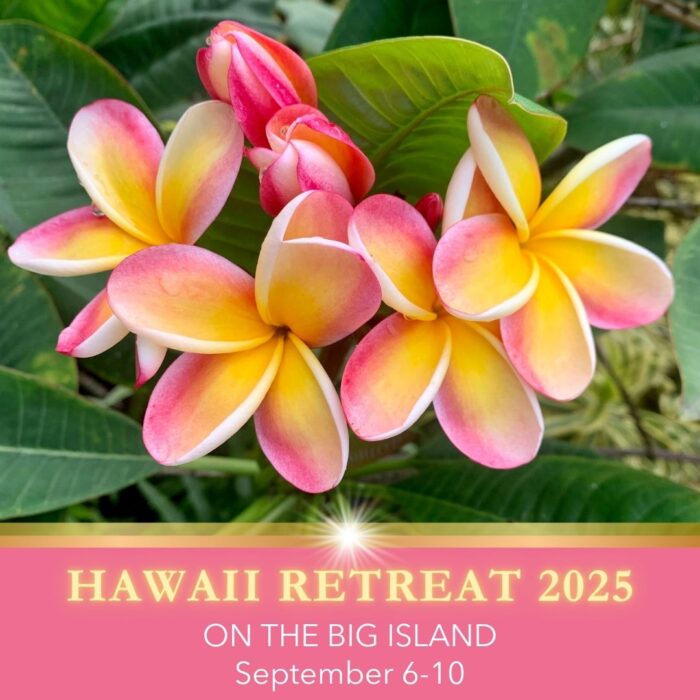 HAWAII TRANSFORMATION RETREAT 2025