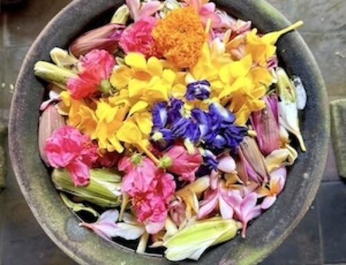 Bali Blessings 1: The Karmic Wheel of the Totality of Now