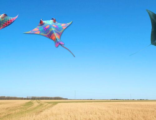 When Mantas Fly: Prophetic Dreams of New Earth