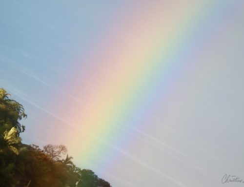 Navigating Personal, Global and Cosmic Flux through the Practice of Light Coherence